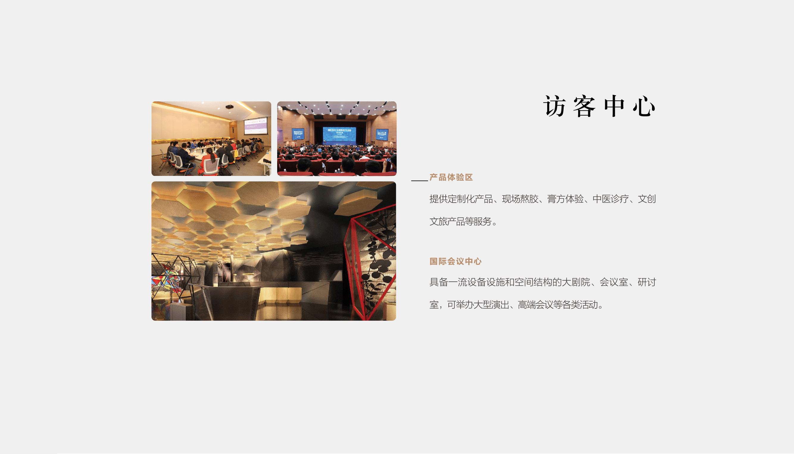 東阿阿膠-阿膠世界